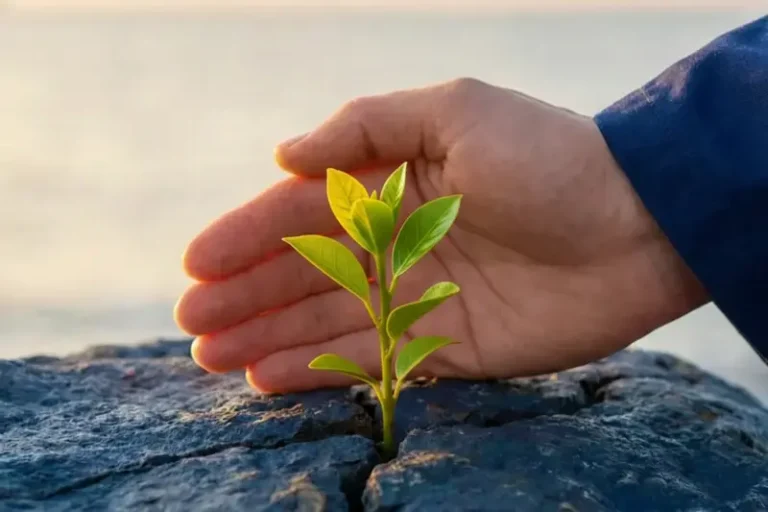 Sanar trauma emocional y psicológica Resiliencia y terapia